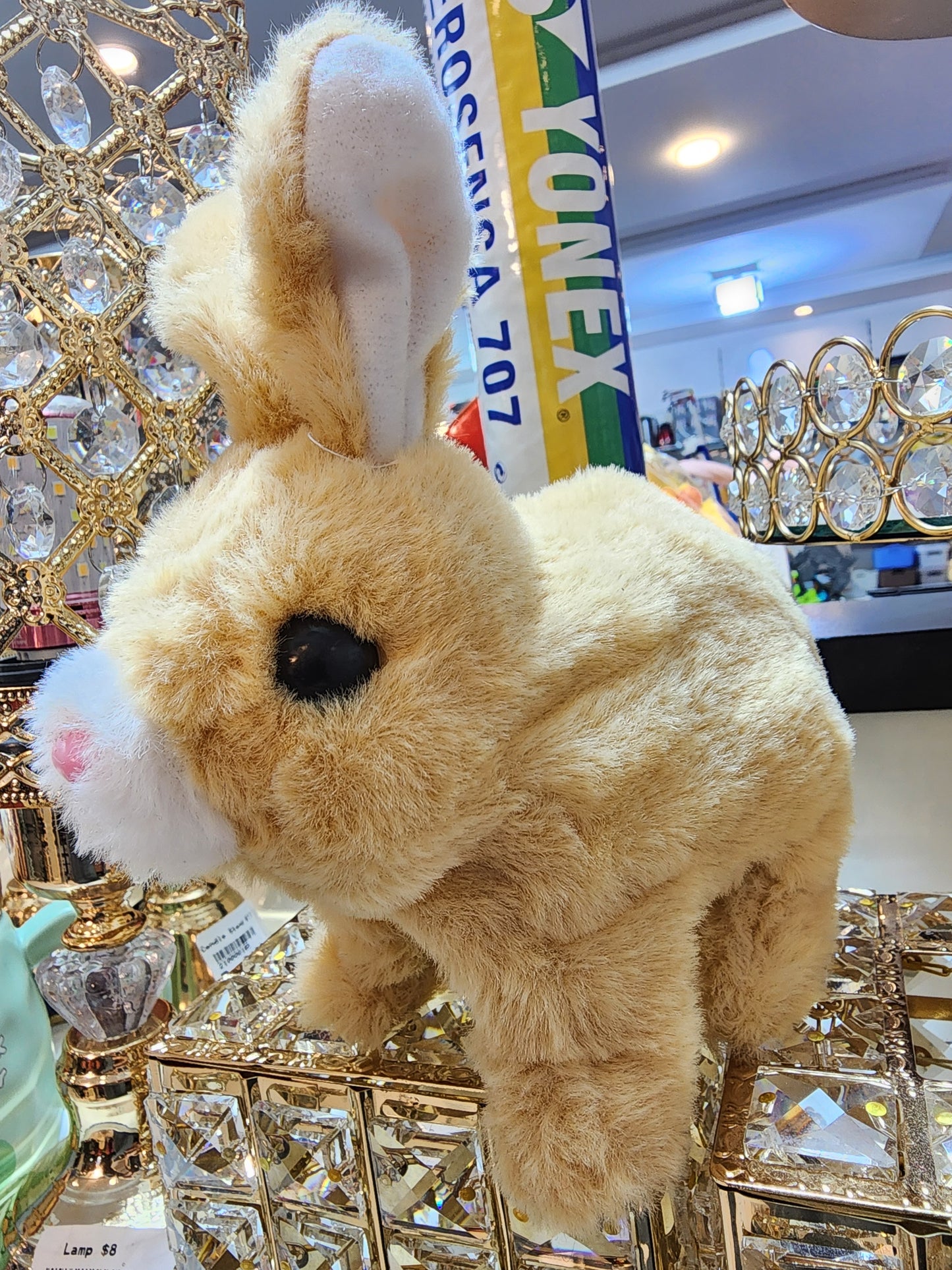 RABBIT $2.5