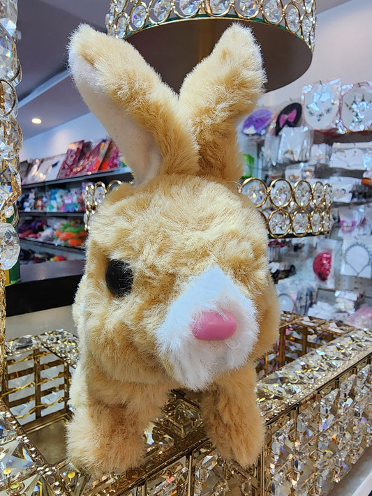 RABBIT $2.5