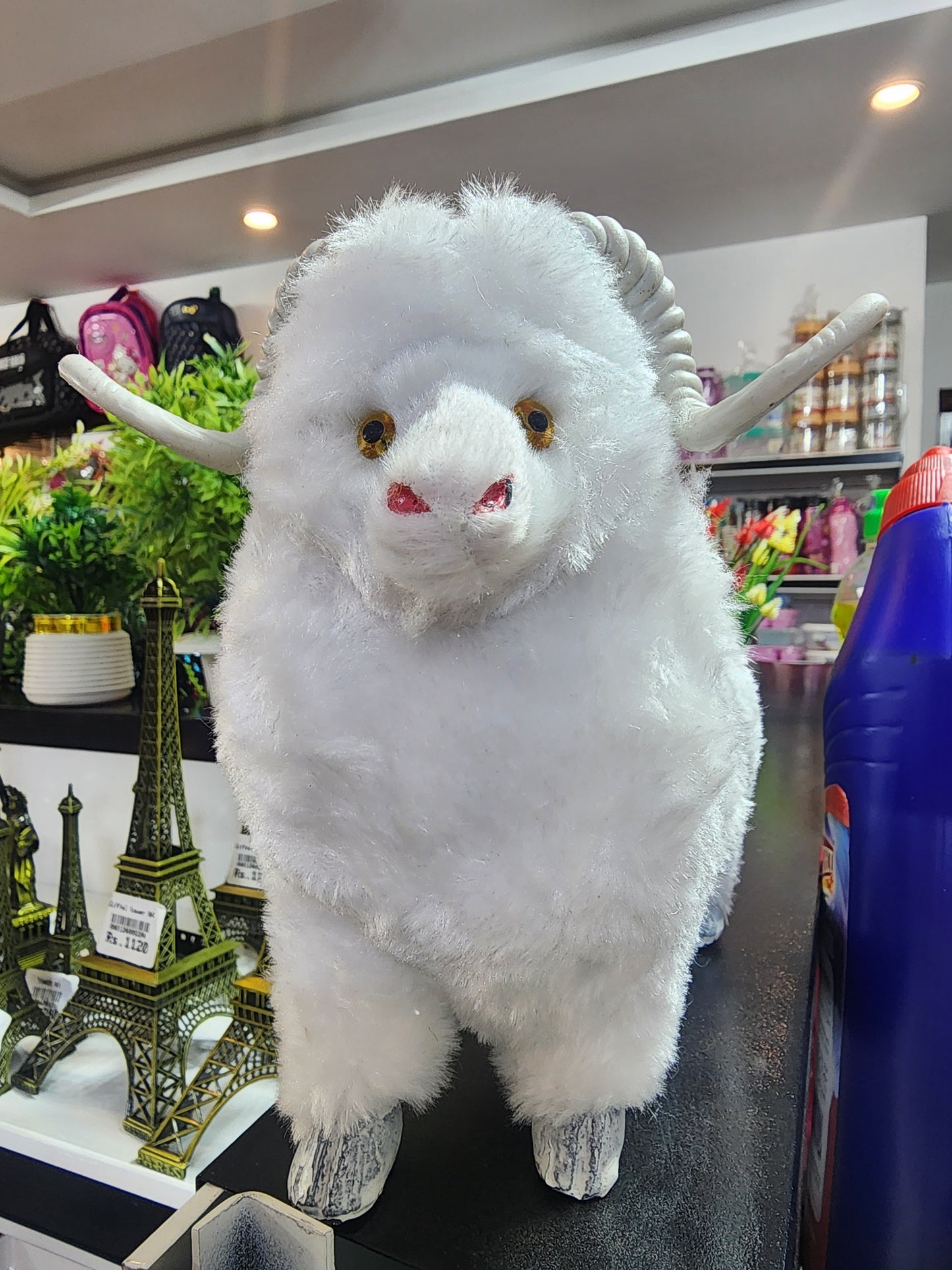Sheep $2