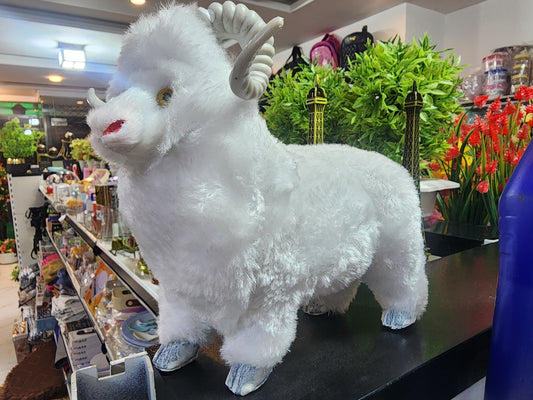 Sheep $2