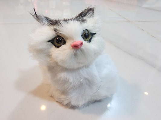 small cats $1